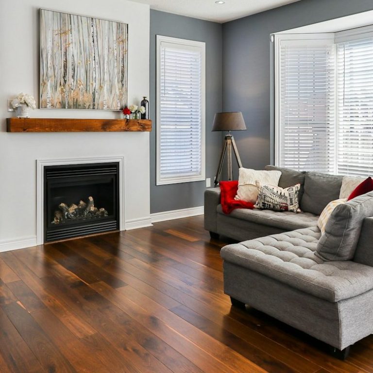 rénovation salon Salon moderne avec canapé gris, cheminée, et une décoration accueillante.